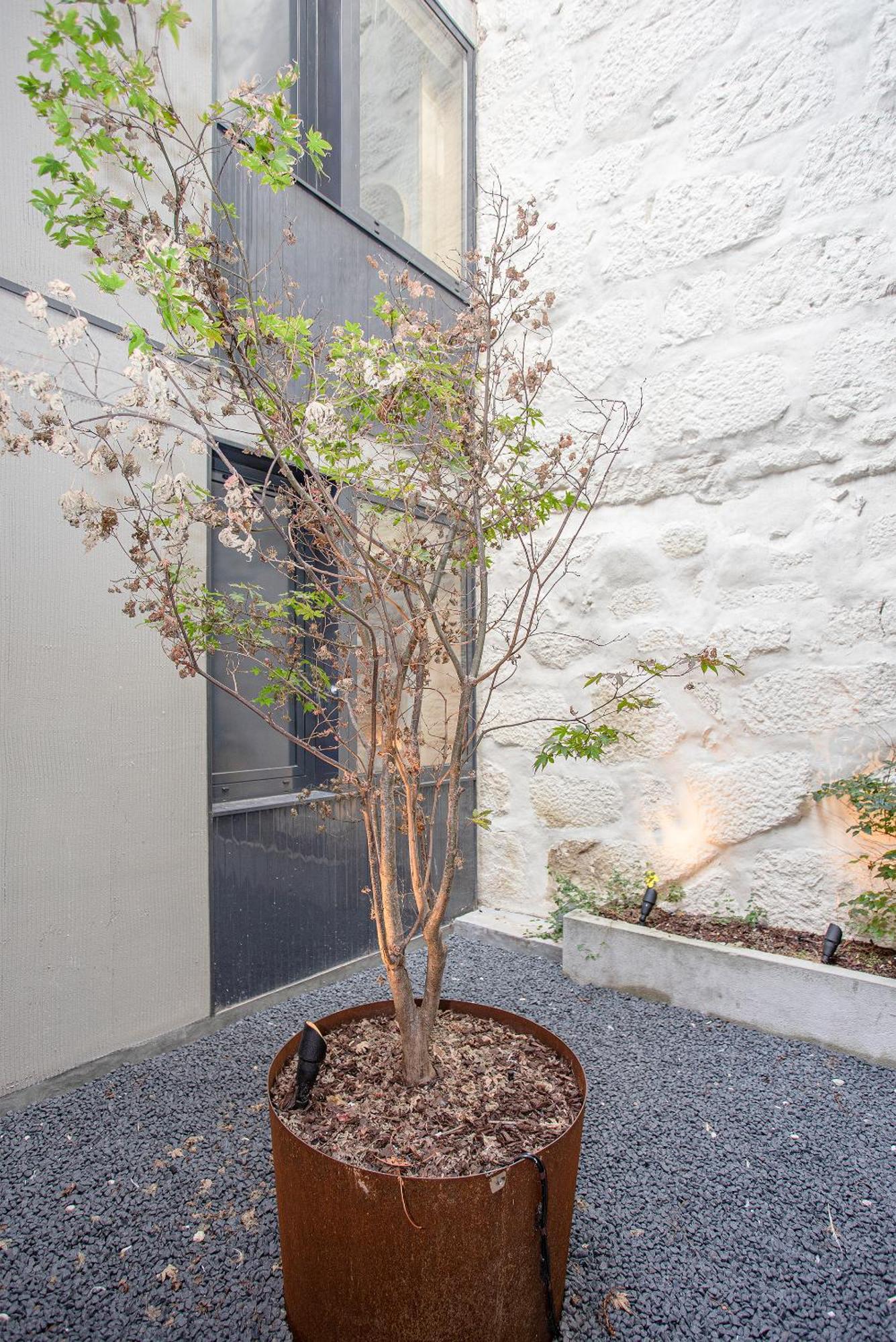 Liiiving In Porto - Bolhao Trendy Apartments Exterior foto