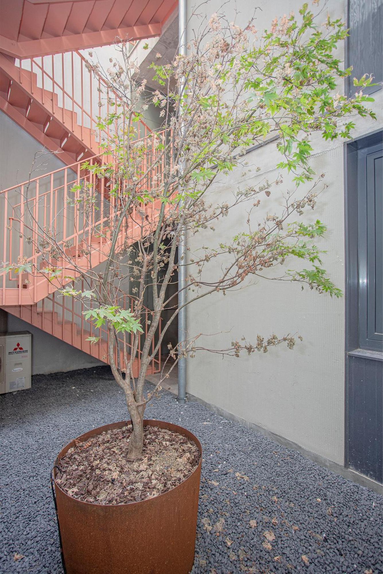 Liiiving In Porto - Bolhao Trendy Apartments Exterior foto
